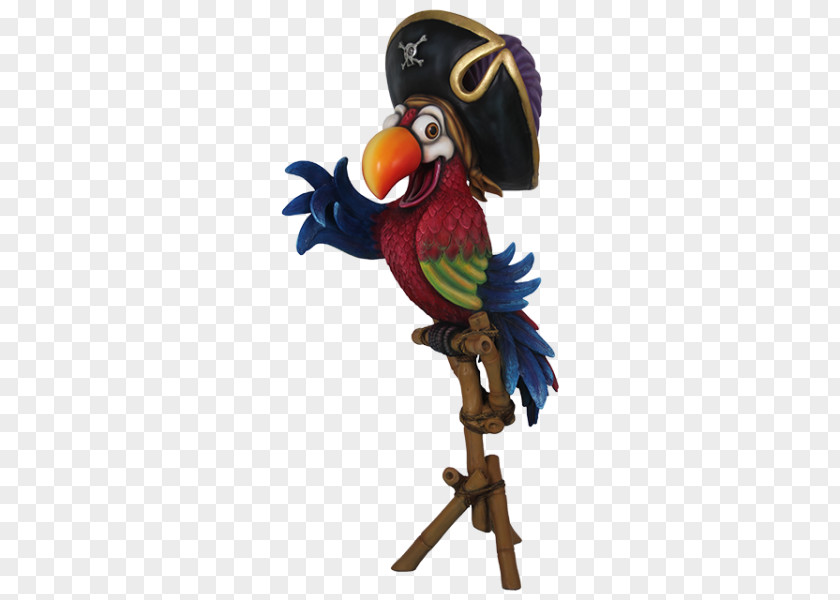 Pirate Parrot Seabird Gulls Comics PNG