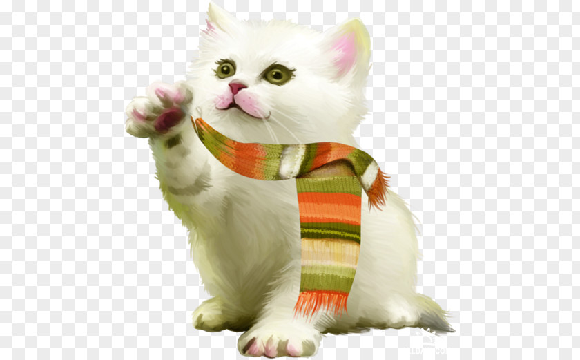 Cat Animation PNG