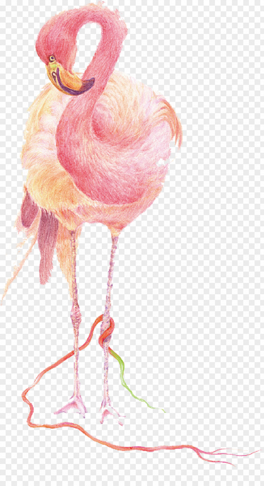 Flamingo Vector Flamingos Bird IPhone 7 IPad 8 PNG