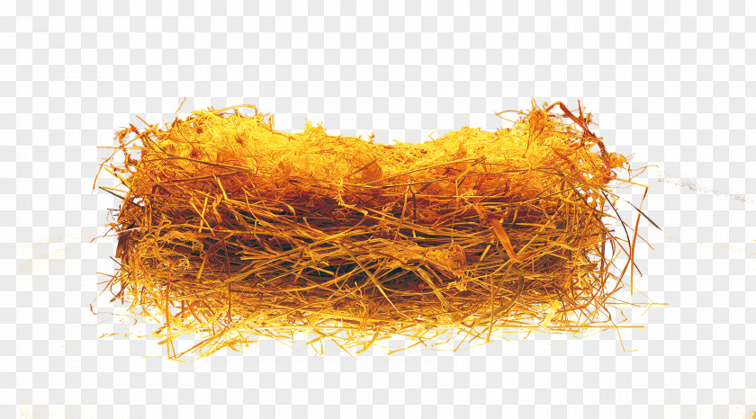 Grass Nest Weed Bird Android Computer File PNG