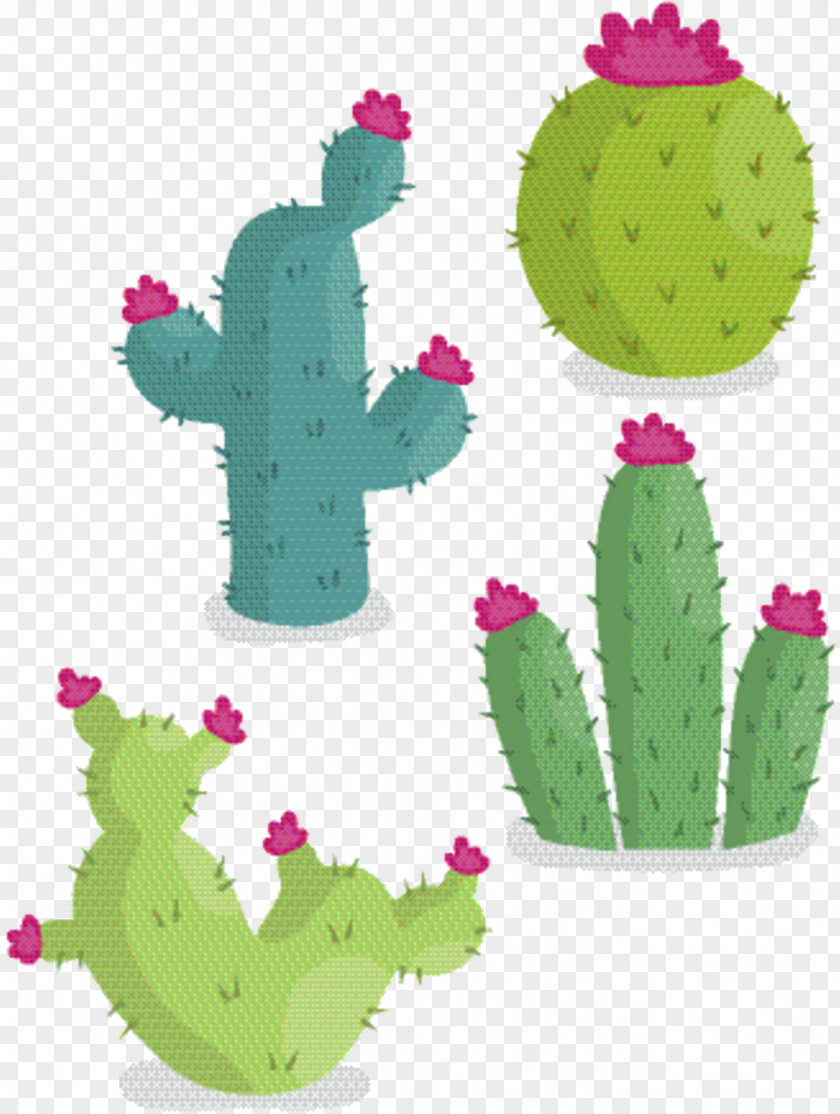 Hedgehog Cactus Saguaro Cartoon PNG