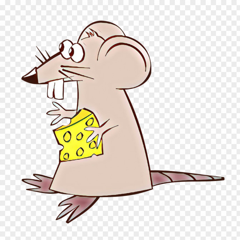Pest Muroidea Cartoon Mouse Rat Muridae Clip Art PNG