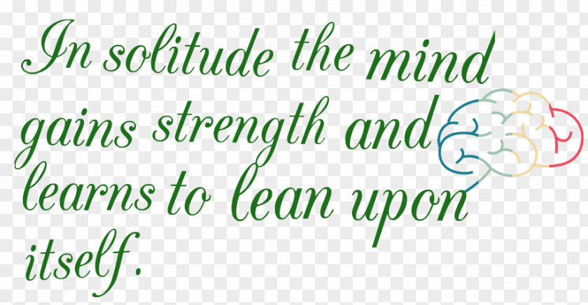 Quote Mark Calligraphy Font Green Writing Line PNG