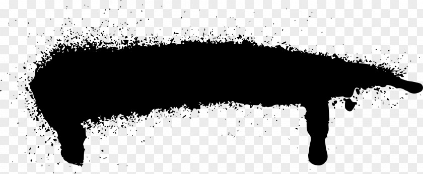 Spray Paint Black And White PNG