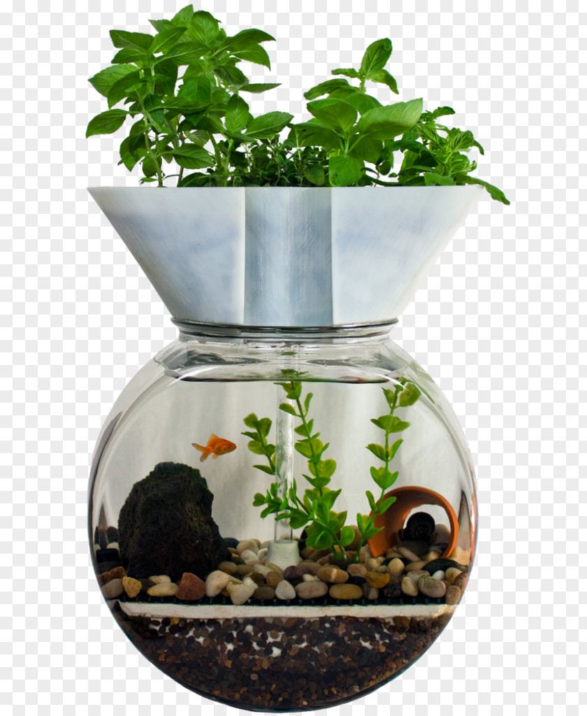 Aquarium Hydroponics Aquaponics Aquaponic Gardening: A Step-By-Step Guide To Raising Vegetables And Fish Together PNG