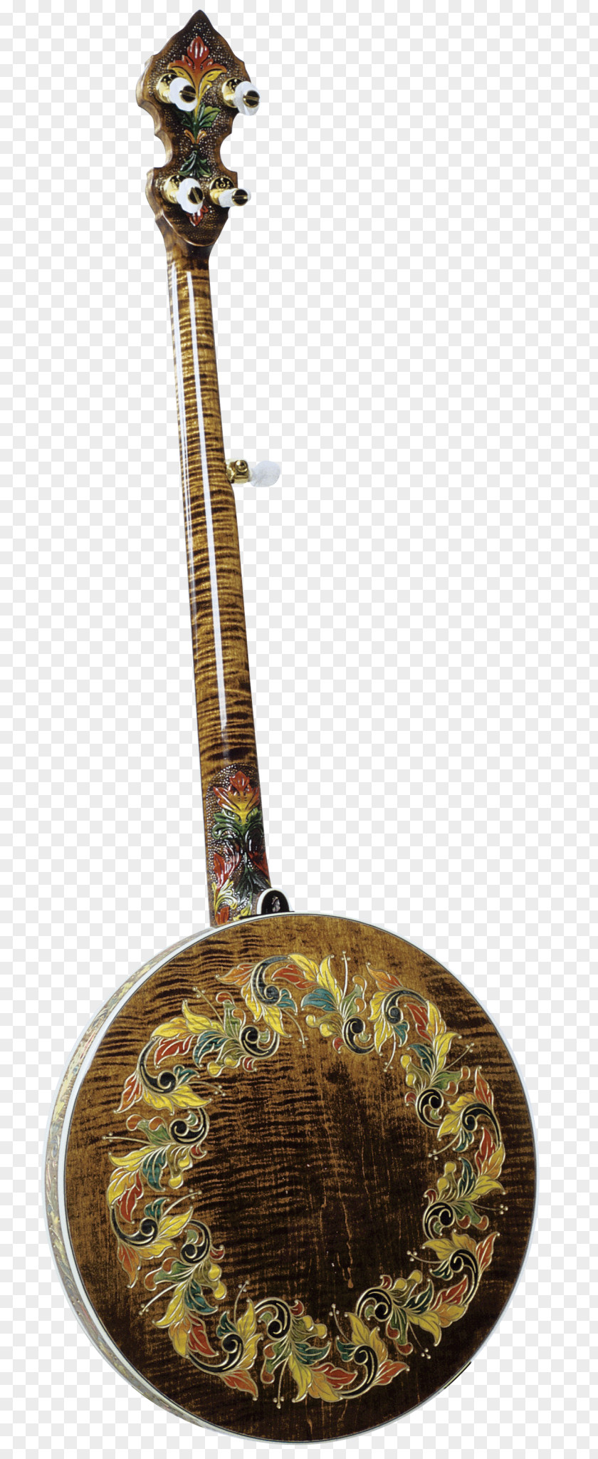 Musical Instruments Plucked String Instrument PNG