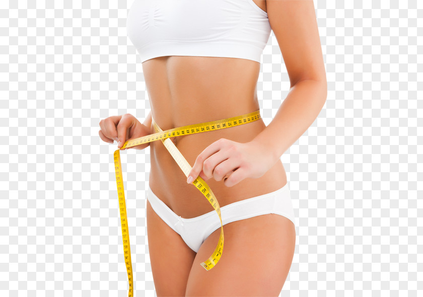 Abdominal Weight Loss Liposuction Cosmetology Adipose Tissue Dietary Supplement PNG