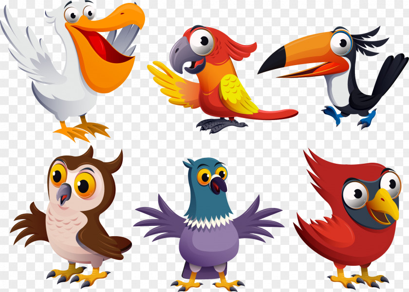 Birds Cartoon Character Model Sheet Design PNG
