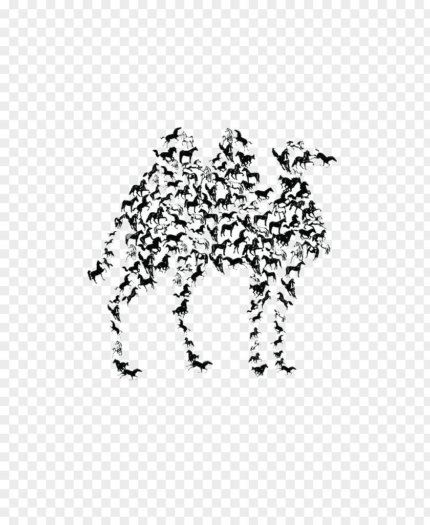 Camel Black And White Poster PNG