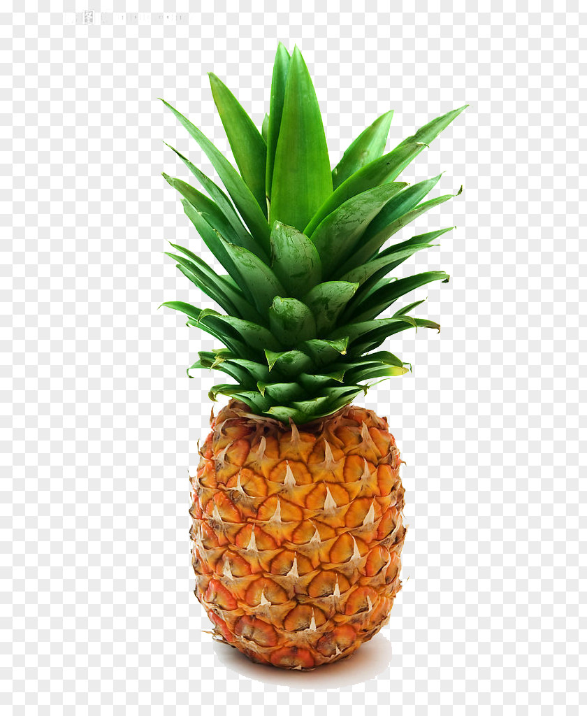 Fresh Pineapple Pizza Stock Photography Clip Art PNG