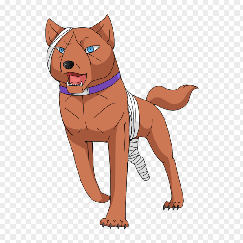 Ginga Legend Weed Dog Breed Puppy Cat PNG