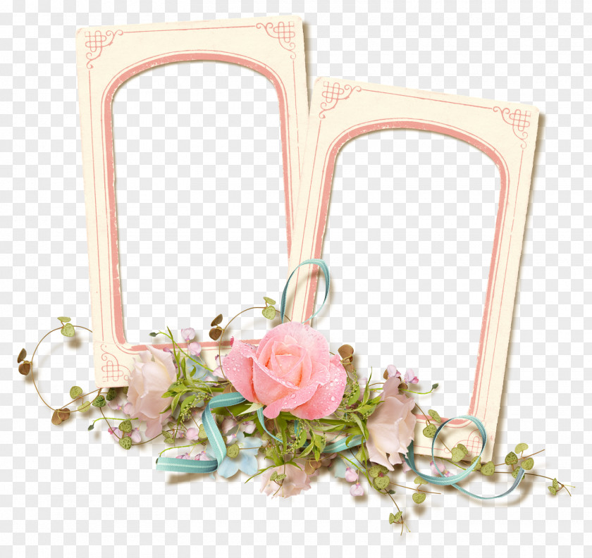 Love Frame Picture Frames Garden Roses Flower Pink PNG