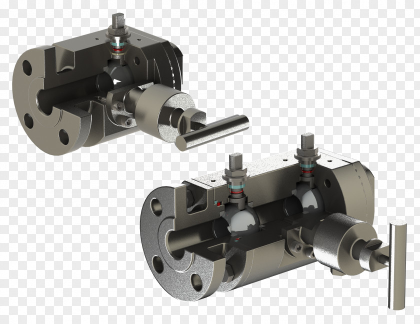 OMB Valves Italy Sesto Block And Bleed Manifold Viton FKM PNG