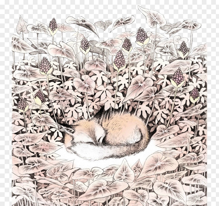 Sleeping ForestFox IPhone 6s Plus 6 Hedgehog Hibernation PNG