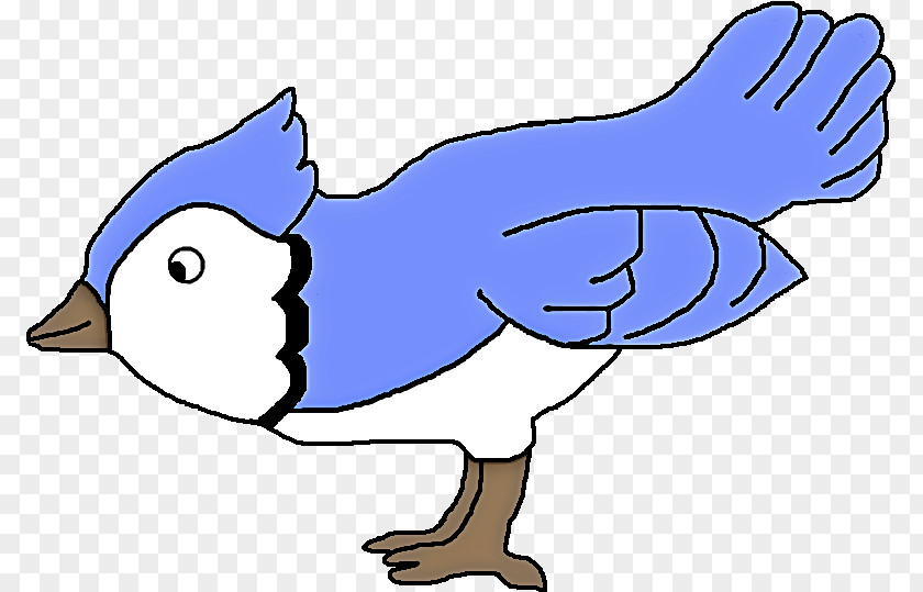 Bird Cartoon Beak Line Art Tail PNG