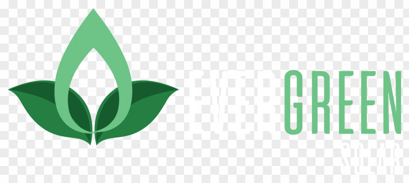 Computer Product Design Logo Brand Green PNG
