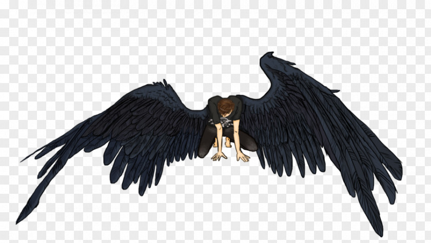 Eagle Vulture Beak Feather PNG