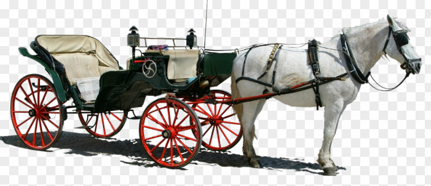 Horse And Buggy Carriage Horse-drawn Vehicle PNG