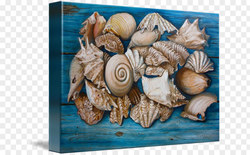Seashell Artist Painting Conchology PNG