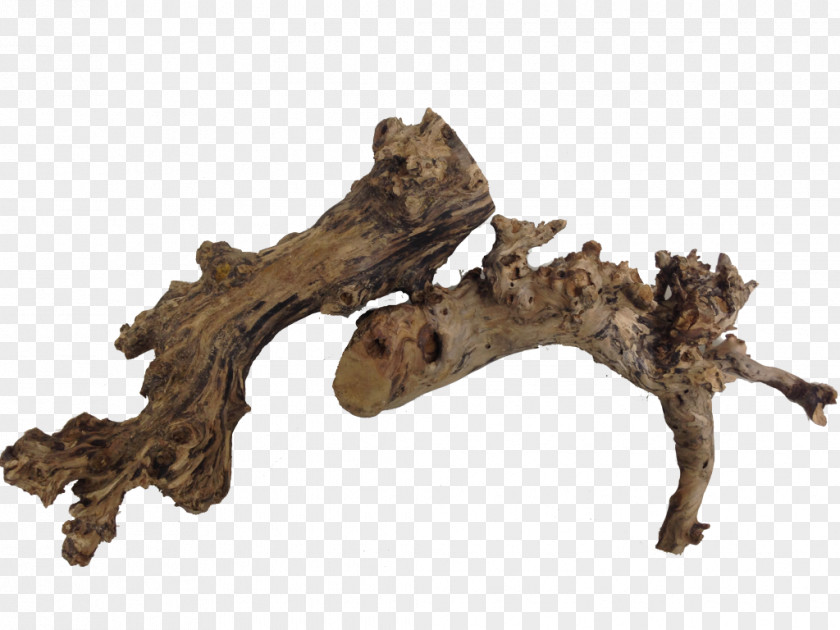 Terrarium Driftwood Branching PNG