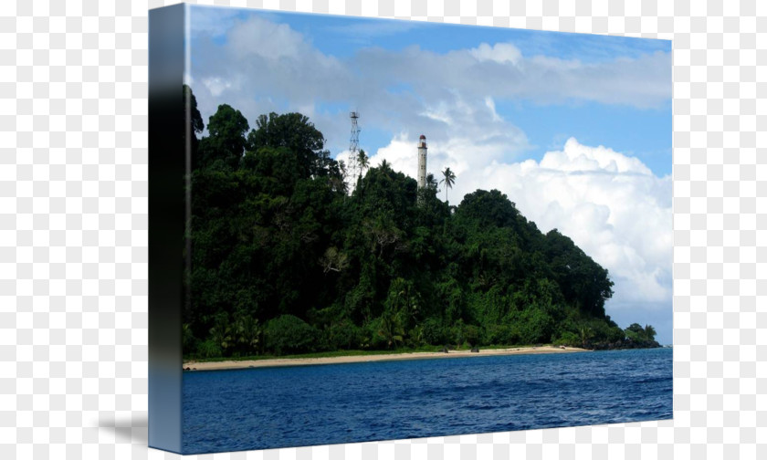 Tree Water Resources Inlet Loch Tourism PNG