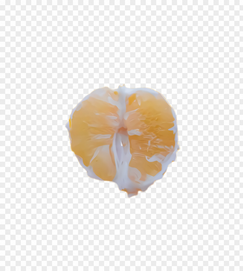 Vegetarian Food Plant Orange PNG