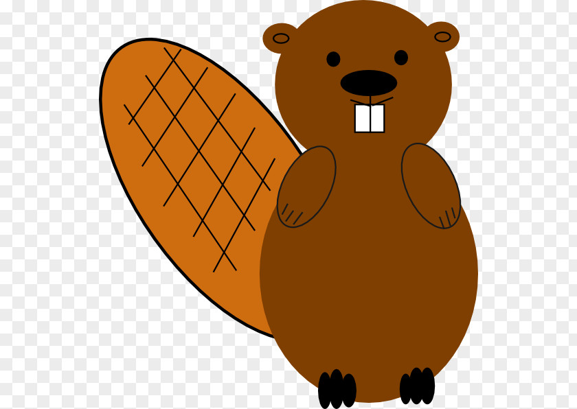 Beaver Clip Art PNG