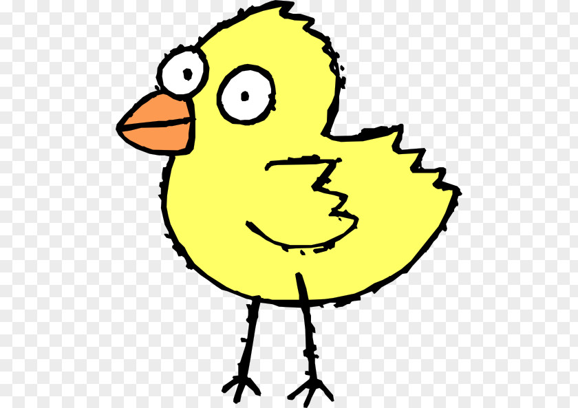 Chicks Chicken Cartoon Clip Art PNG