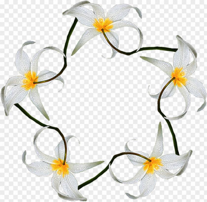 Stamens Floral Design Desktop Wallpaper Flower Clip Art PNG