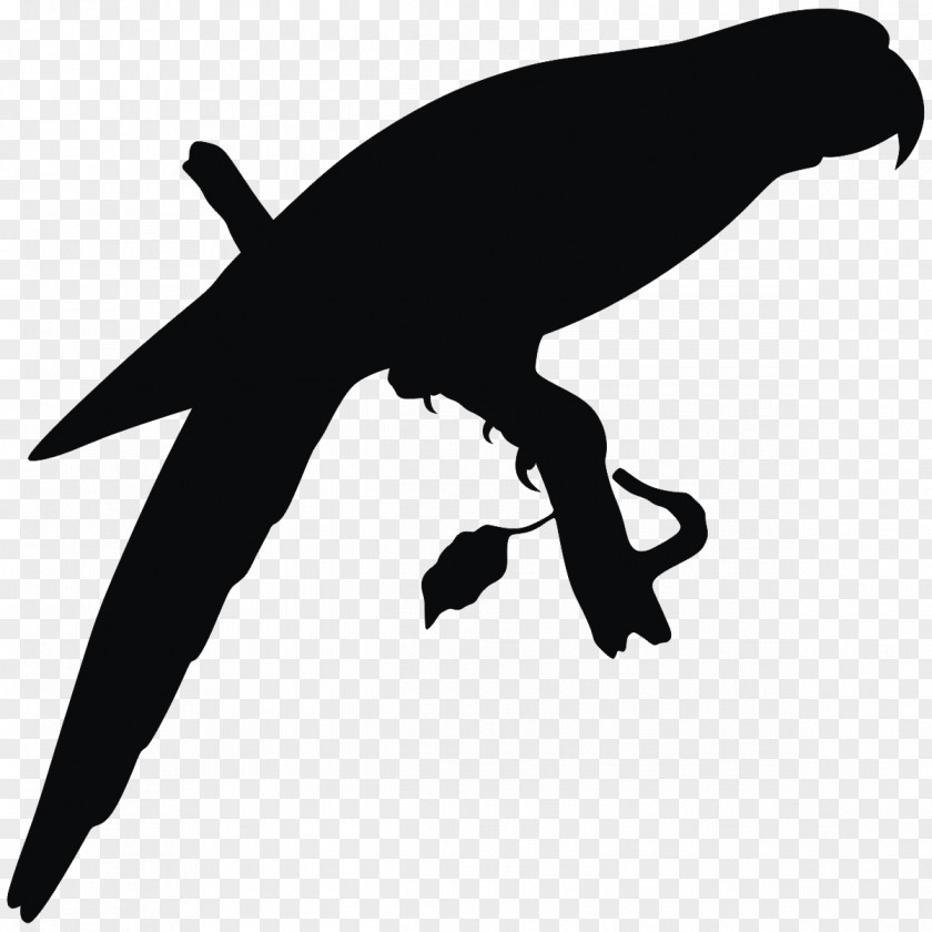 Cockatoo Silhouette Bird Drawing Clip Art PNG
