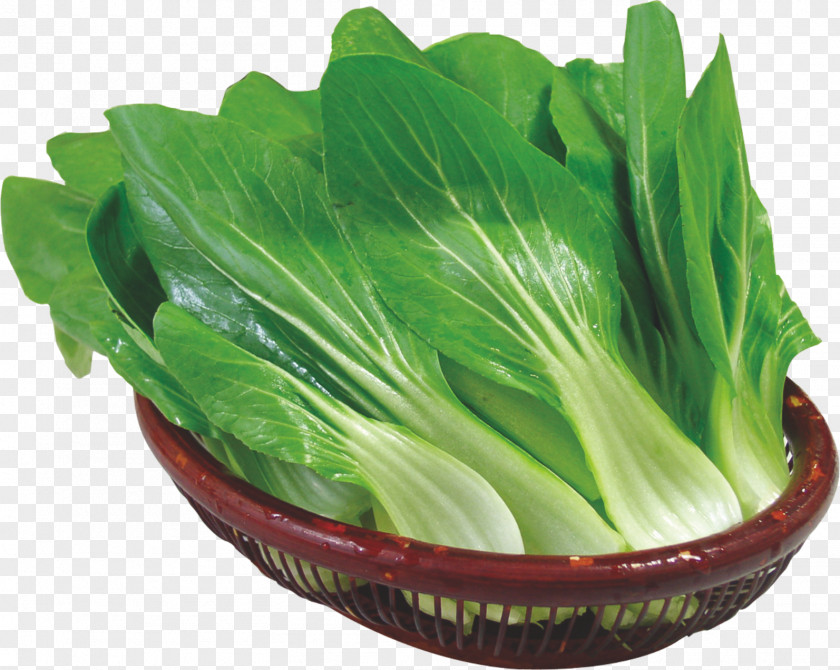 Fresh Cabbage Romaine Lettuce Choy Sum Spring Greens Vegetable PNG