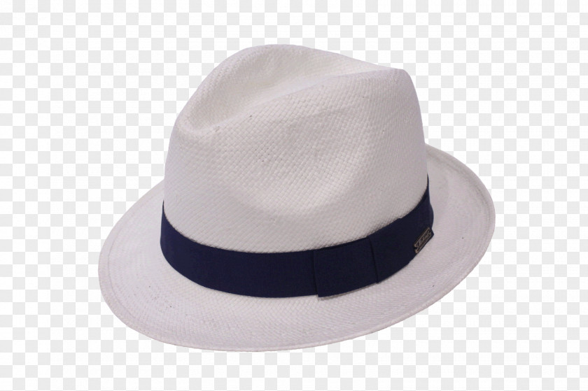 Hat Fedora Panama Borsalino Cap PNG