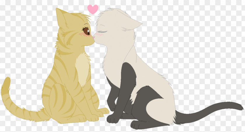 Kitten Whiskers Cat Dog Macropods PNG