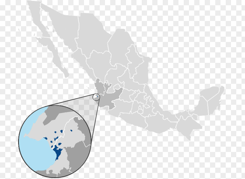 Map Licenciado Gustavo Díaz Ordaz International Airport Metropolitan Areas Of Mexico Zona Metropolitana De Puerto Vallarta Nayarit Tamaulipas PNG