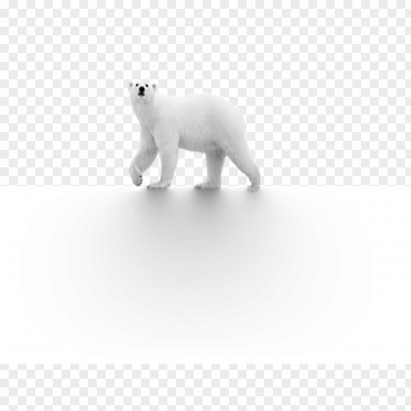 Polar Bear Dog Black And White PNG