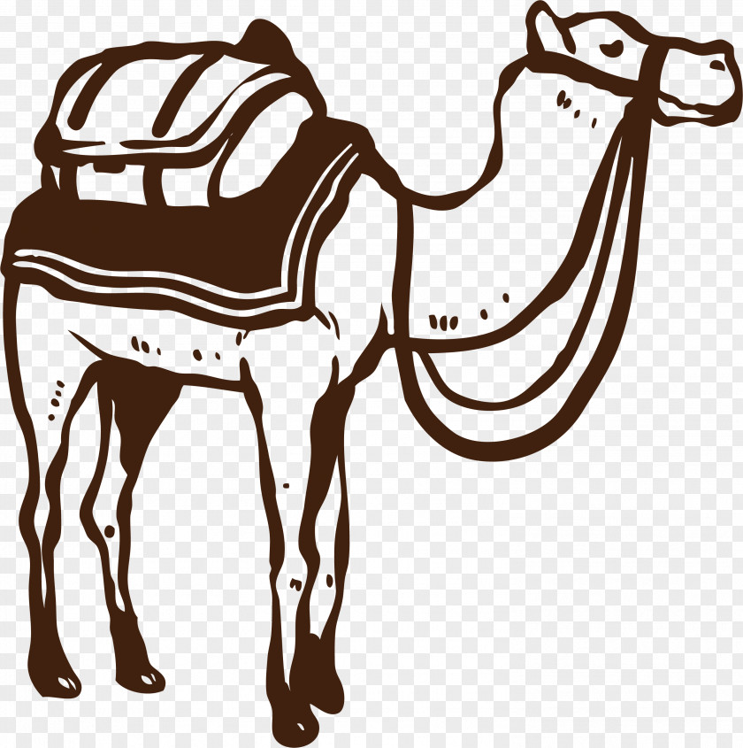 Camel In The Desert PNG
