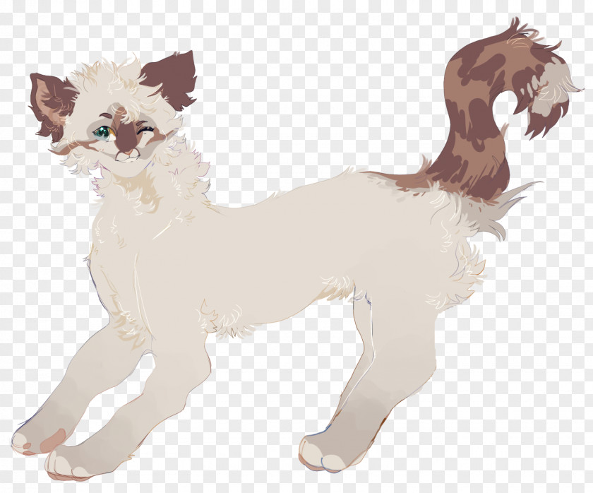 Cat Whiskers Canidae Dog Horse PNG