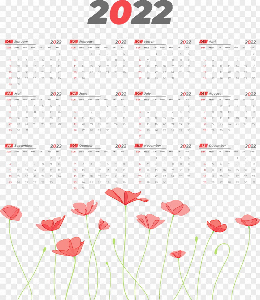 Common Poppy Glass Of Love Petal Flower PNG