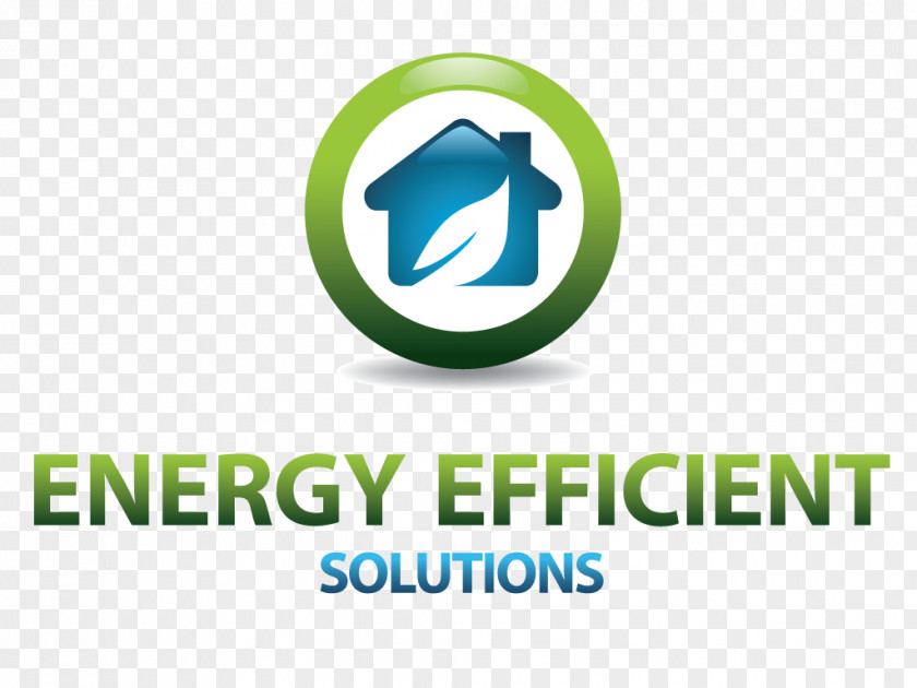 Energy Efficient Use Conservation Efficiency Services Limited PNG