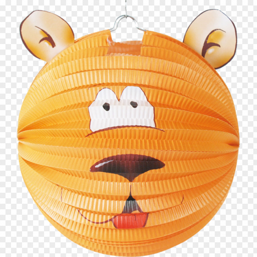 Lampion Paper Lantern Laternelaufen Child Festival PNG