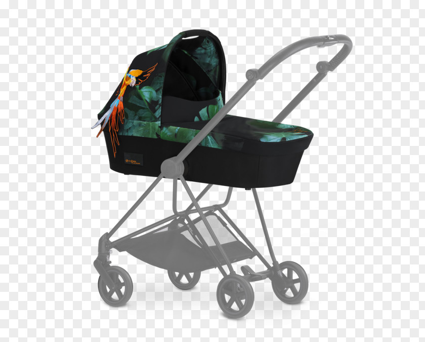 Paradise Bird Baby Transport Child Color Fashion PNG