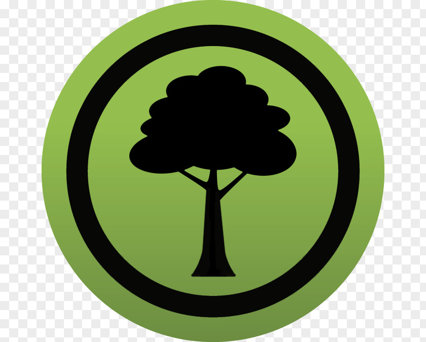 Tree Pictogram Wood Symbol Clip Art PNG
