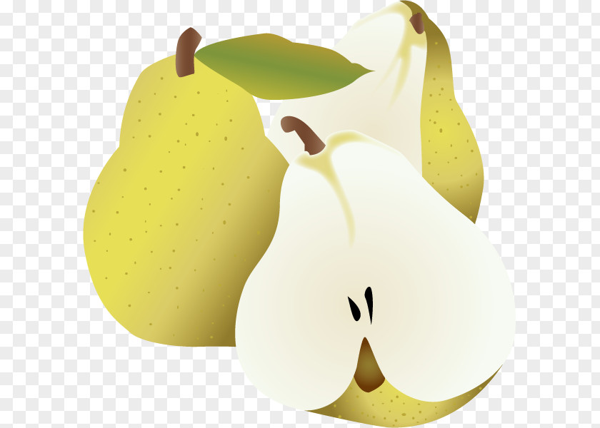 Vector Pear Fruit Euclidean PNG