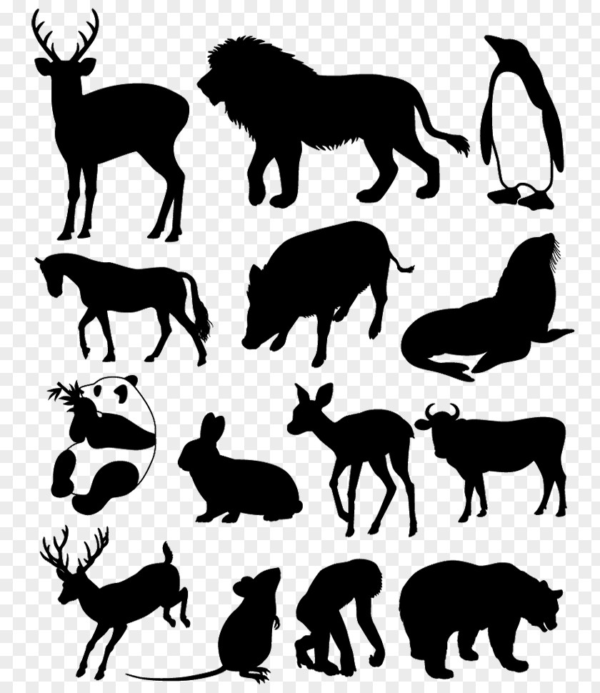 Animal Silhouettes Silhouette Drawing Photography Clip Art PNG