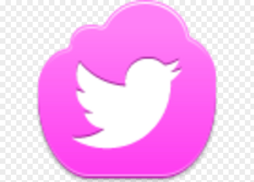 Bird Pink Our Lady Of Victory Social Media Clip Art PNG