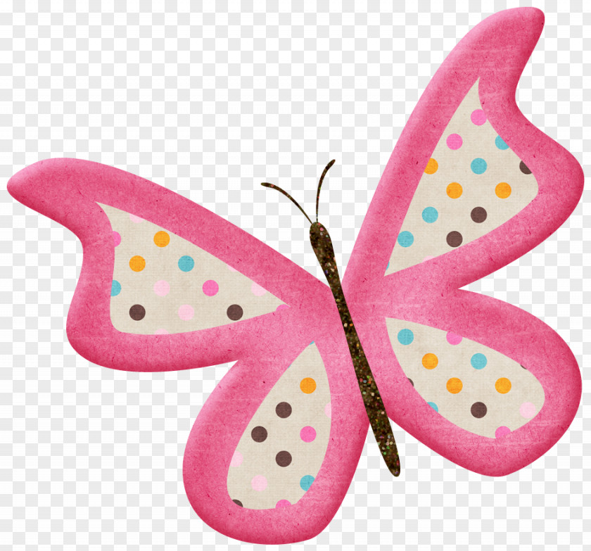 Butterfly Drawing Color PNG