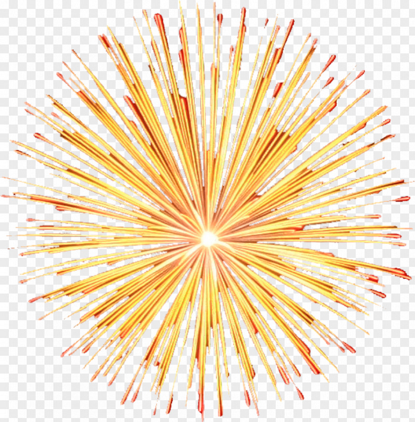 Fireworks PNG clipart PNG