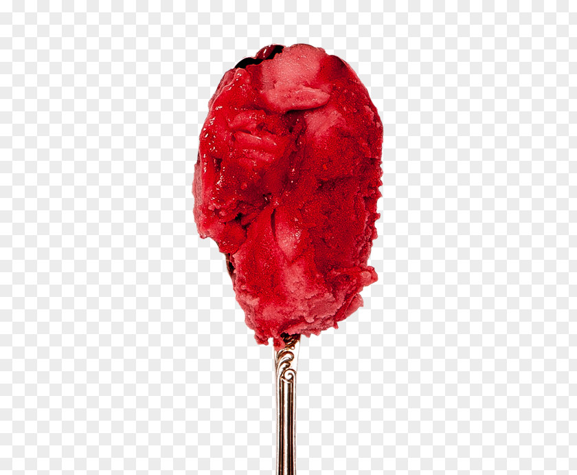 Raspberry Sorbet Snugburys Ice Cream Flavor PNG