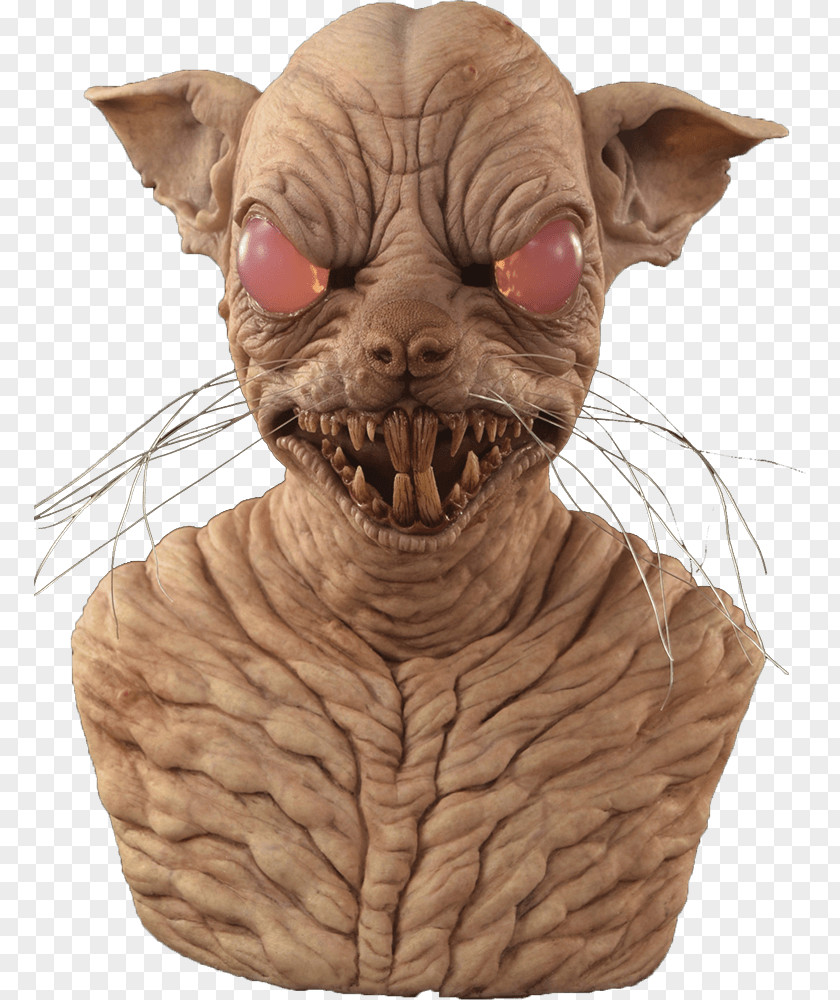 Rat Sphynx Cat Mask Face Character PNG