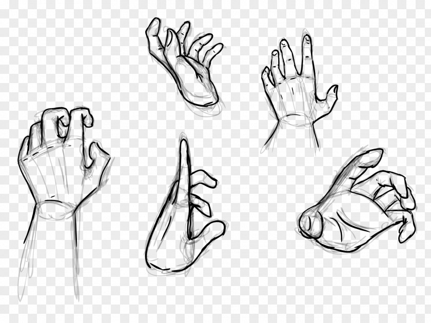 Grasping Hand Thumb Drawing DeviantArt Sketch PNG
